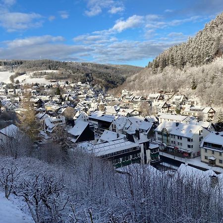 Landhaus Muehlenberg Willingen  Eksteriør bilde