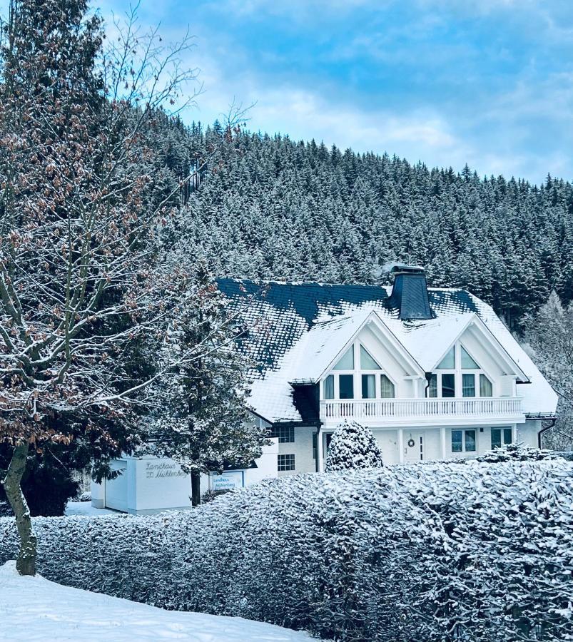 Landhaus Muehlenberg Willingen  Eksteriør bilde